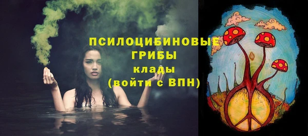 ПСИЛОЦИБИНОВЫЕ ГРИБЫ Белокуриха