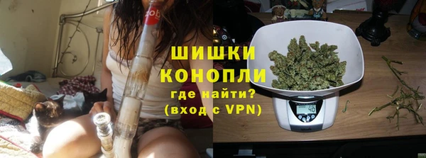 ПСИЛОЦИБИНОВЫЕ ГРИБЫ Белокуриха