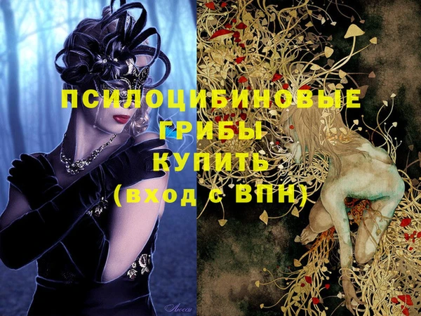 ПСИЛОЦИБИНОВЫЕ ГРИБЫ Белокуриха