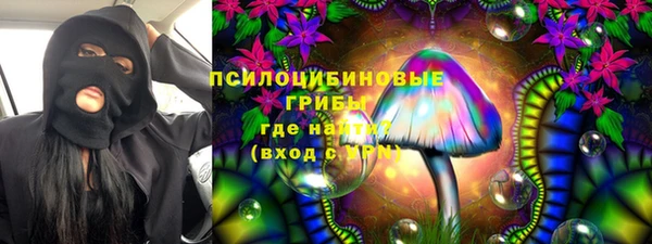 ПСИЛОЦИБИНОВЫЕ ГРИБЫ Белокуриха