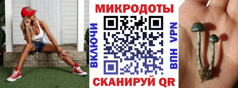 MEGA ссылки  Воркута  Галлюциногенные грибы мицелий 